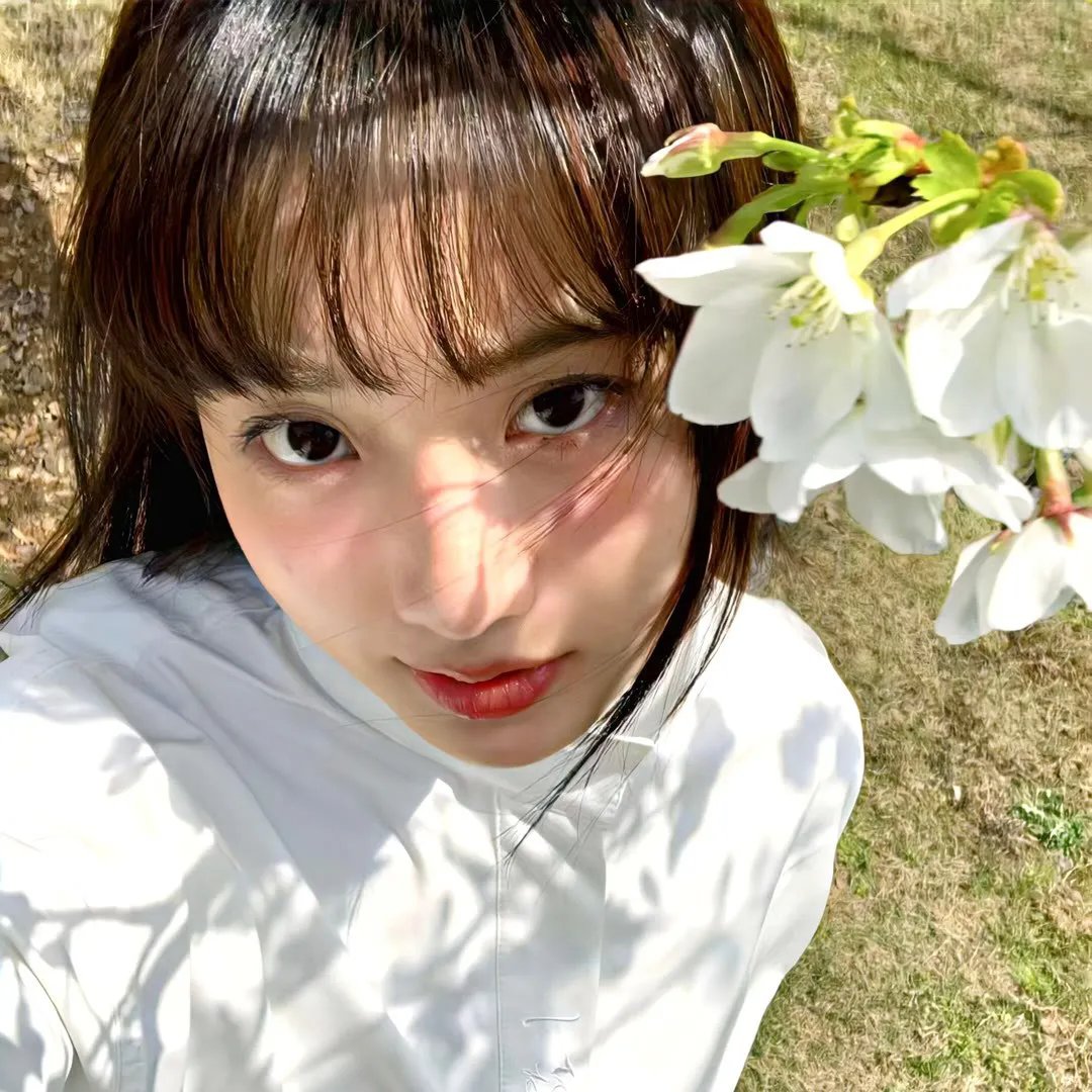 树妖