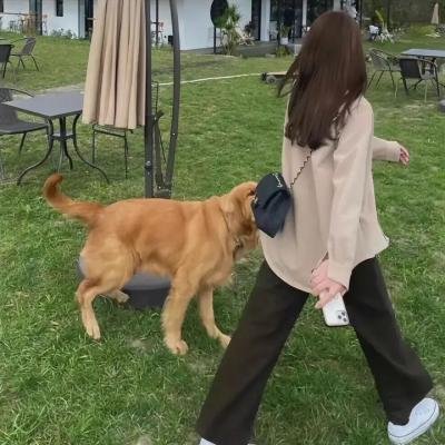 聪明的顺溜第二季